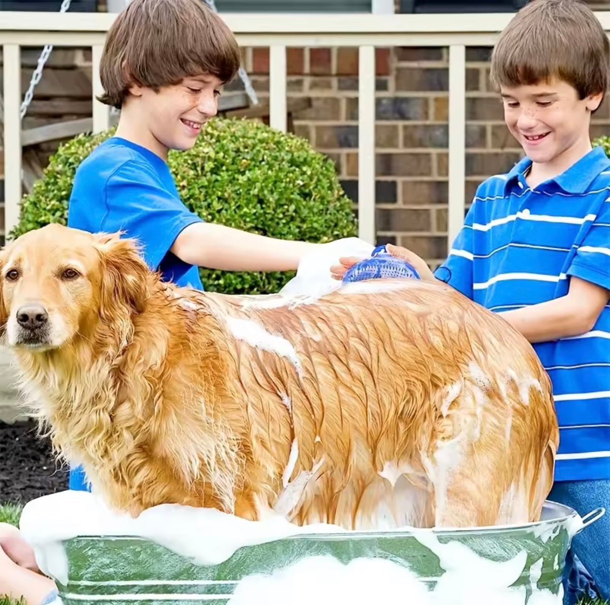 Dog Bath Brush – Silicone Pet Shampoo & Grooming Brush for Dogs & Cats