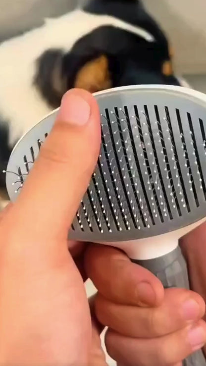 Self Cleaning Dog & Cat Brush – Pet Hair Remover Slicker Brush